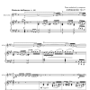 The Ride of the "Cello-Vello" Buffon for Cello and Orchestra, Op.27 (version with piano) - Downloadable PDF - Image 3